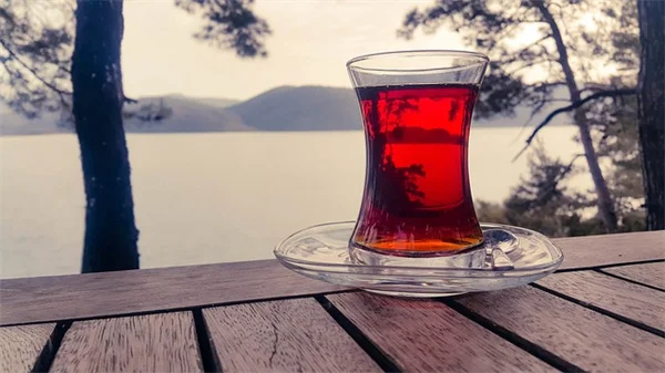 鳥が来ないのはなぜ？経験者が教える5つの原因と戻し方